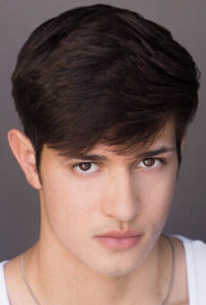 Йоханн Фитч